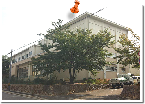 精道中学校 精道中学校