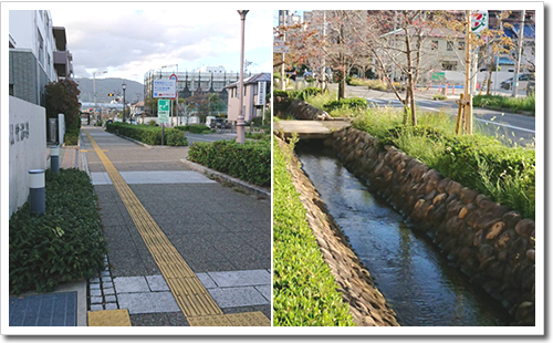 芦屋中央線(呉川町)を無電柱化計画 芦屋中央線(呉川町)を無電柱化計画