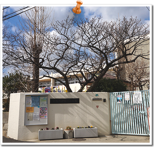 宮川幼稚園 宮川幼稚園