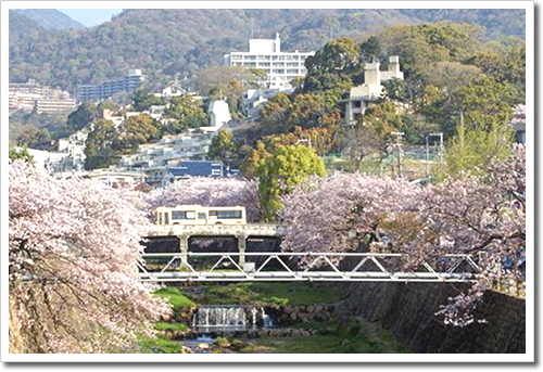 自治体間競争や先進市との単純な比較は建設的でないと考えています。 自治体間競争や先進市との単純な比較は建設的でないと考えています。