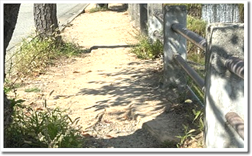 歩道とは言えない 歩道とは言えない