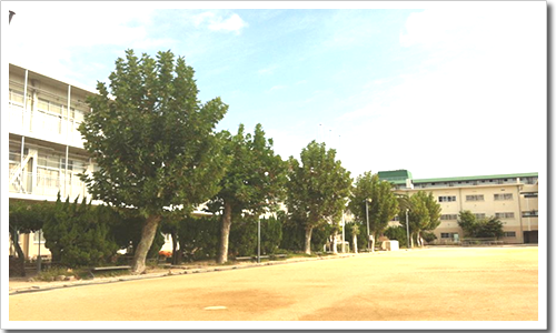 精道中学校の現状 精道中学校の現状